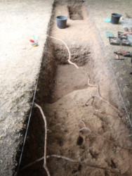 cut in trench 1