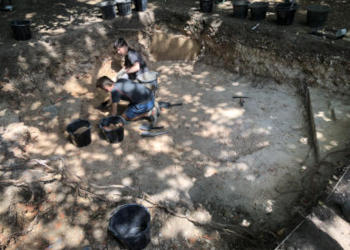 trench 1