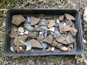 finds tray