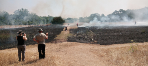 grass fire